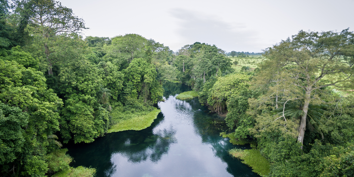 congo-produzione-caffe Il caffè è il primo prodotto agricolo del Congo - COFF-E