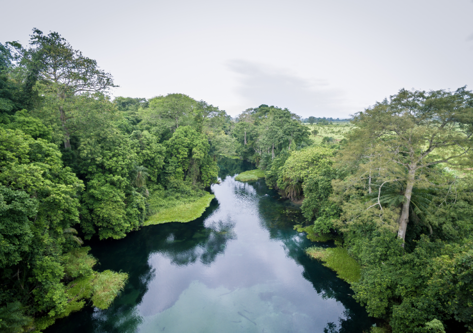 Il caffè è il primo prodotto agricolo del Congo - COFF-E