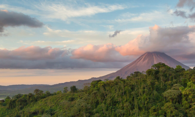 FJO Sarchi - Il pregiato caffè arabica del Costarica - Viaggio all'origine del caffè - COFF-E