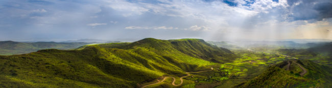Caffè arabica naturale Etiopia - COFF-E