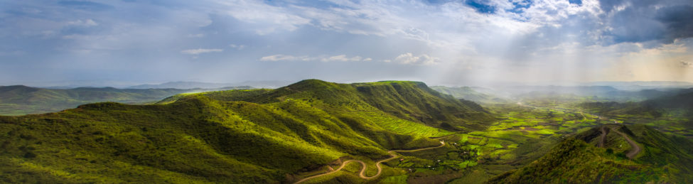 Caffè arabica naturale Etiopia - COFF-E