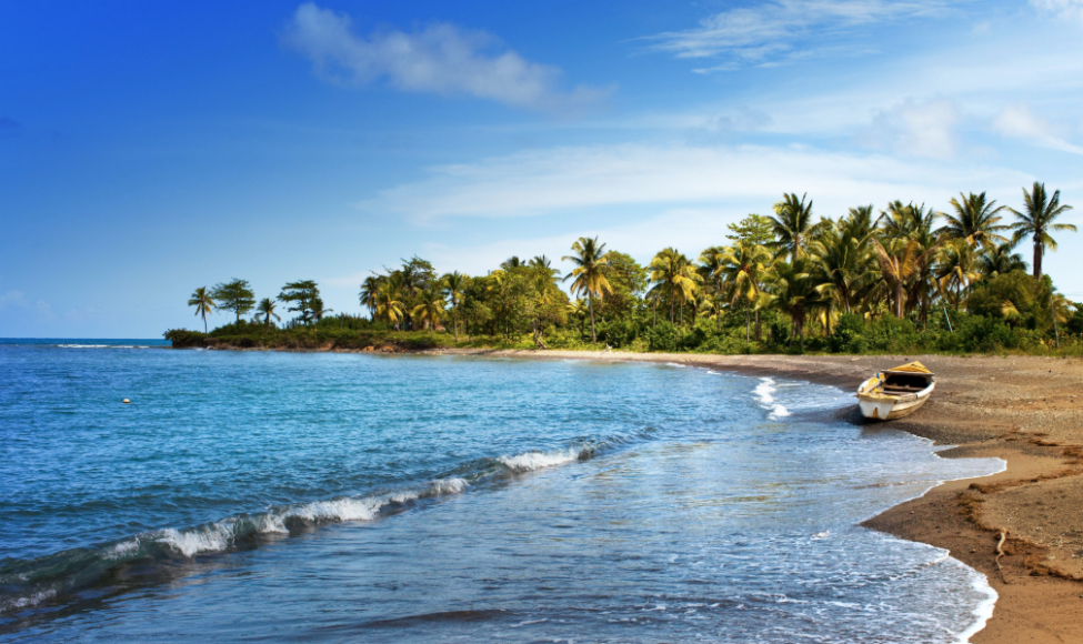 Giamaica Blue Mountain: il caviale del caffè - COFF-E