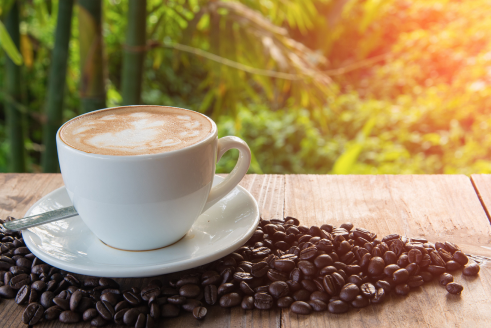 Il ruolo del caffè in Il peso della farfalla di Erri De Luca - COFF-E