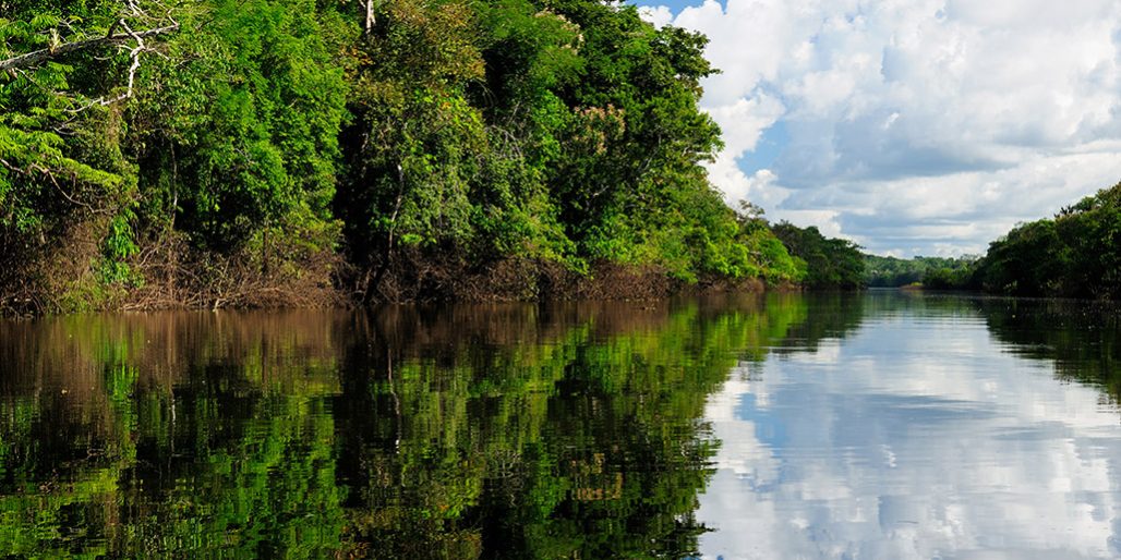 Amazon river landscape in Brazil Chi è il primo produttore di caffè al mondo? Il Brasile! - COFF-E