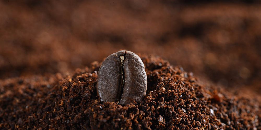 chicco di caffe Cosa fare con fondi di caffè? Ecco un sacco di usi alternativi! - COFF-E