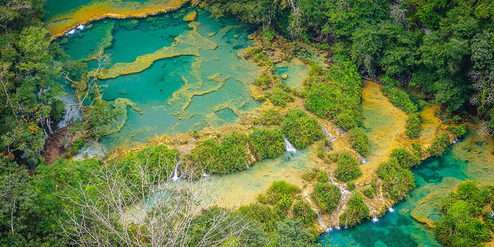 i chicchi del guatemala
