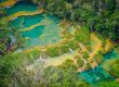i chicchi del guatemala