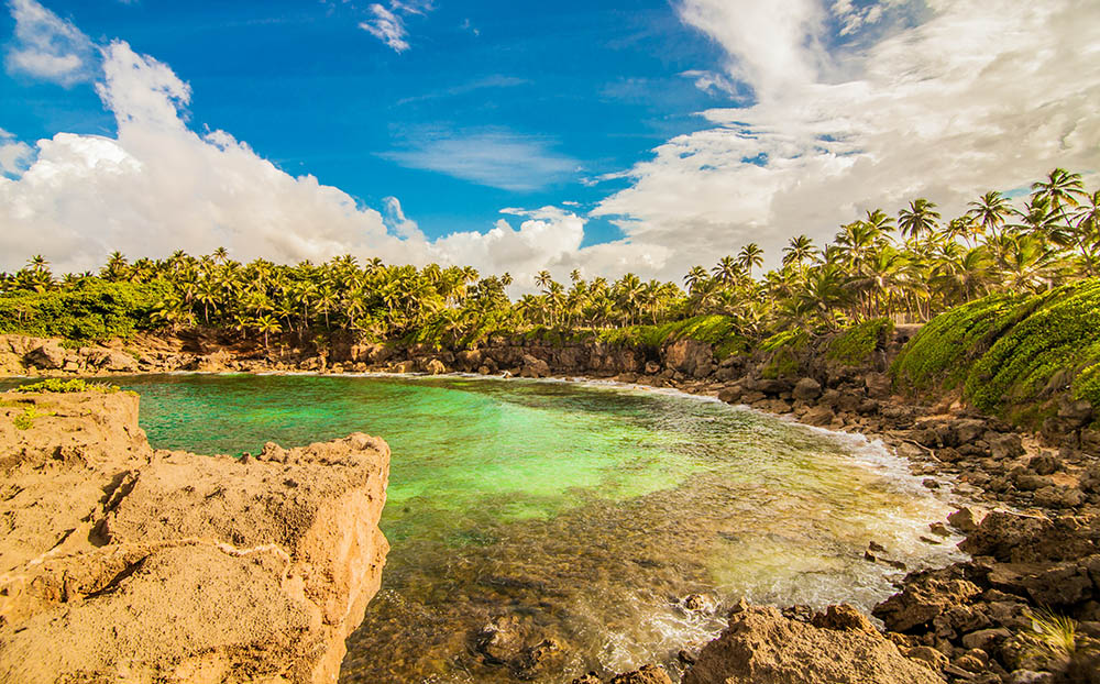 Porto Ricon's Porto Rico | Coff-e