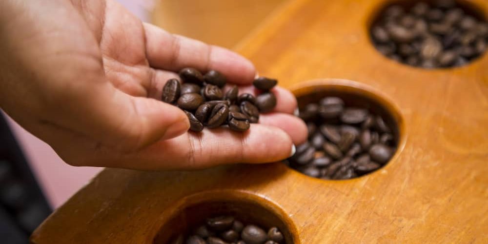 Miglior caffè: ecco come scegliere il caffè perfetto! - COFF-E