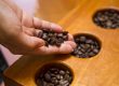 Miglior caffè: ecco come scegliere il caffè perfetto! - COFF-E